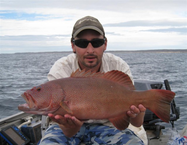 My first proper coral trout